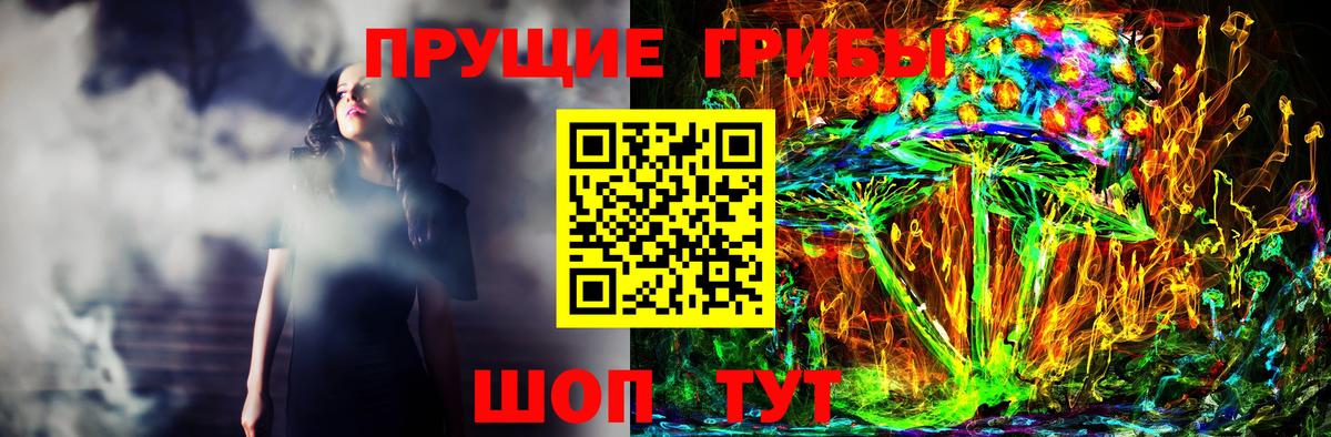 Галлюциногенные грибы Psilocybe  Вход с VPN  Северск  Галлюциногенные грибы мухоморы 
